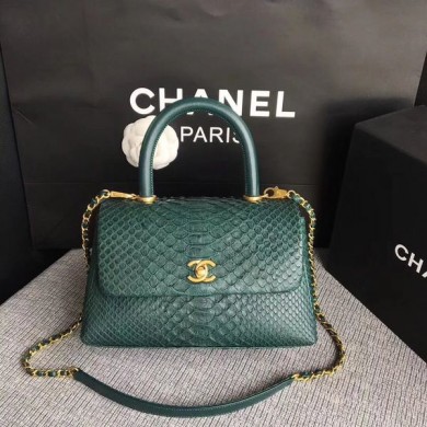 Chanel Original Python Leather Tote Bag 8119D JK5401Rc99