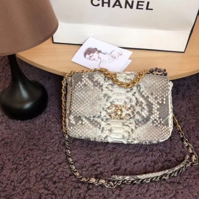 Imitation CHANEL 19 Flap Bag Original Snake skin flap bag AS1160 grey JK4037SU34