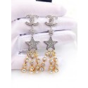 Chanel Earrings CE6434 JK3149ta99