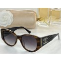 Chanel Sunglasses Top Quality CHS01169 JK2145Xr72