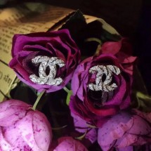 AAAAA Chanel Necklace & Earrings CE5287 JK3843Qa67