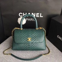 Chanel Original Python Leather Tote Bag 8119D JK5401Rc99