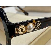 Knockoff Chanel Sunglasses Top Quality CHS01673 Sunglasses JK1641Lg61