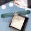AAA 1:1 Chanel Original Calf Leather 3602 green&Silver JK608vi59