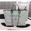 High Quality Replica Chanel Medium Canvas Tote Shopping Bag 8099 green JK5051aR54