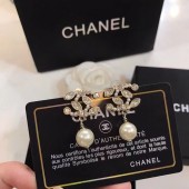 Best Quality Chanel Earrings CE6711 JK3020xb51