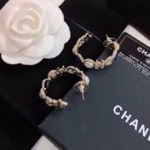 Chanel Earrings CE4946 JK4046hc46