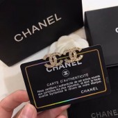 Chanel Earrings CE5426 JK3733nE34