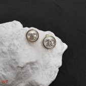 Cheap Copy Chanel Earrings CE7642 JK2471Eq45